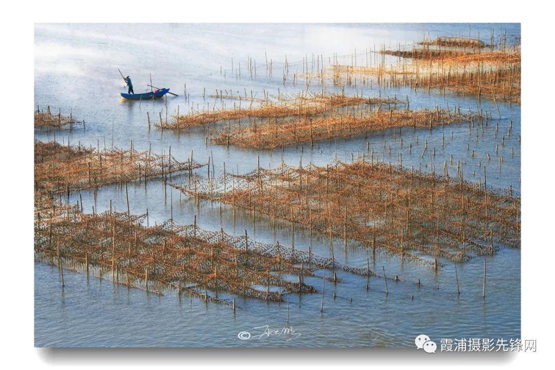 霞浦网招聘网最新招聘,霞浦网招聘网最新招聘动态，探索职业发展的黄金机会