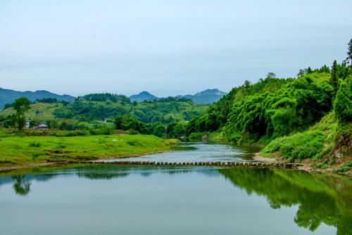 绿树成阴 第10页