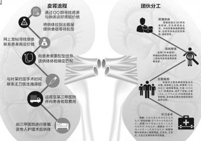 内部资料一肖一码,内部资料一肖一码，揭秘违法犯罪背后的秘密