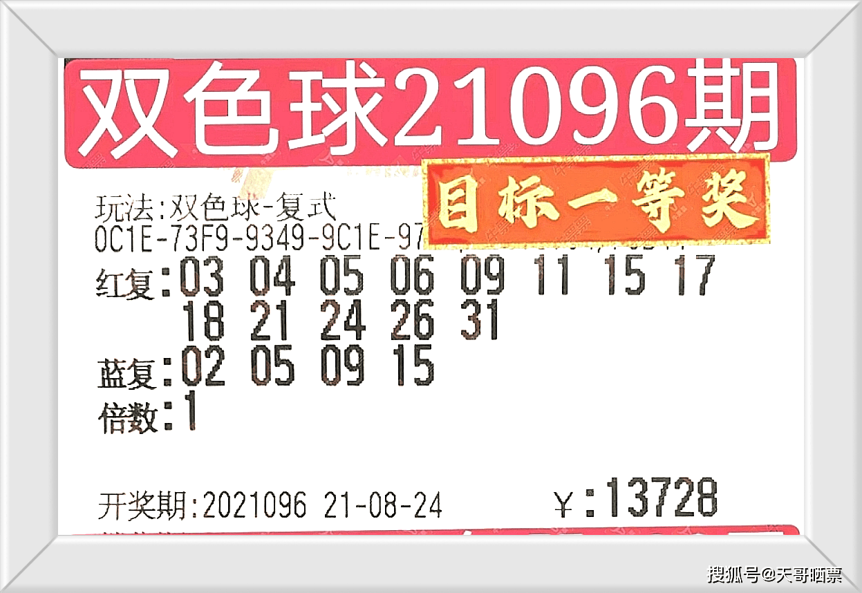 236767澳门今晚开什么号码,澳门今晚彩票号码预测，探索数字背后的奥秘（236767与彩票的奇妙缘分）