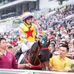 香港2024最准马资料免费,香港2024最准马资料免费，探索赛马运动的魅力与最新资讯