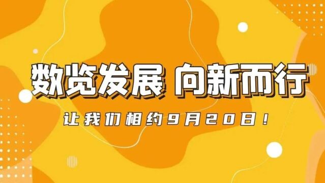 管家婆一码中一肖2025,揭秘管家婆一码中一肖，一场关于运气与智慧的博弈（2025年观察报告）