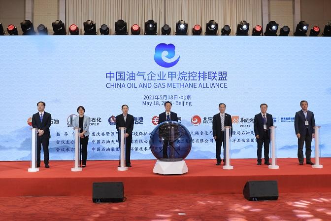 2025新奥资料免费大全,2025新奥资料免费大全——探索与共享知识的宝库