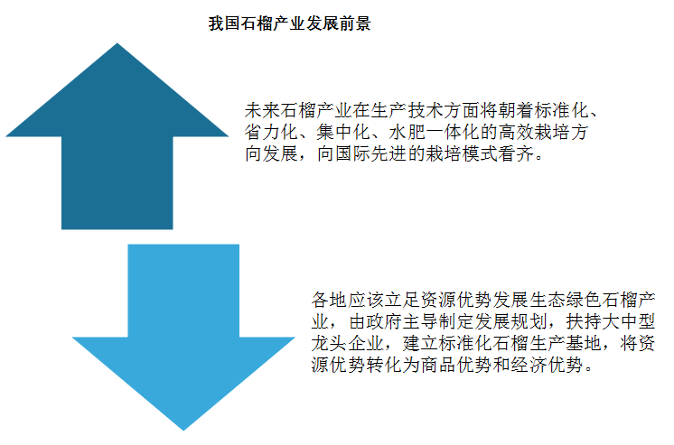 2025新澳彩资料免费资料大全,探索未来彩票世界，2025新澳彩资料免费资料大全