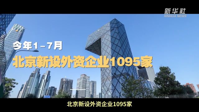 2025新奥门正版资料大全视频,探索未来之门，新澳门正版资料大全视频（2025版）