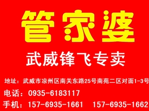 澳门管家婆100中,澳门管家婆100中，探索与解析