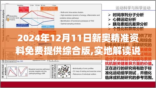 六盒大全经典全年资料2025年版,六盒大全经典全年资料2025年版，深度解析与前瞻