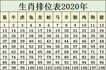 2025十二生肖49码表图,揭秘，2025十二生肖与彩票49码表图的神秘联系