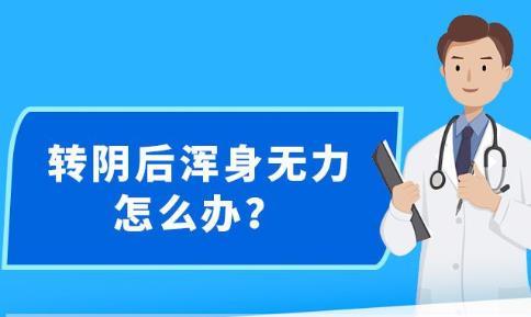 新澳精准资料大全免费更新,新澳精准资料大全免费更新，助力信息获取与决策效率提升